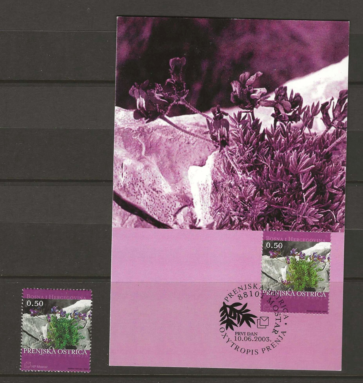 Bosnia and Herzegovina 2003  Mountain flower  MNH  (q067)