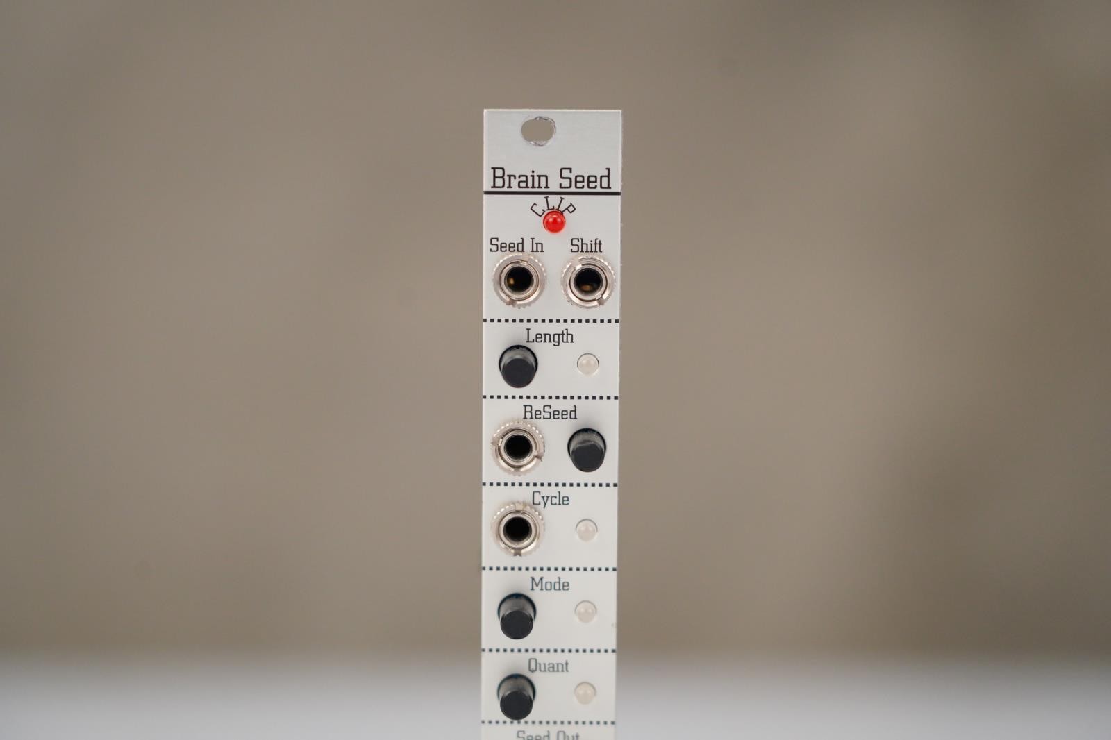 Antimatter Brain Seed Eurorack Module #58470