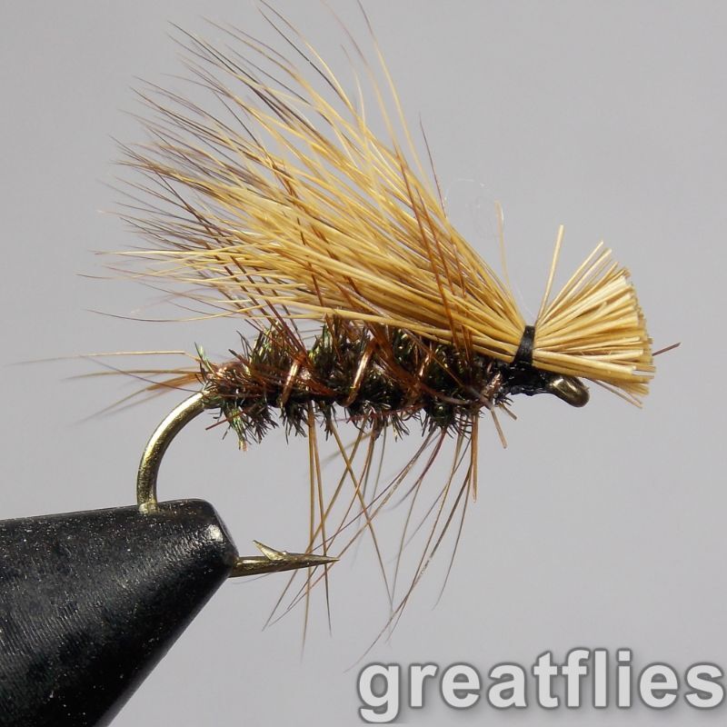 1 dozen (12) - Elk Hair Caddis - Peacock