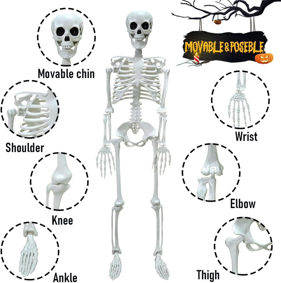 2PACK 36" Skeleton Halloween Decorations, 3FT Skeleton with Movable Joints | Pla