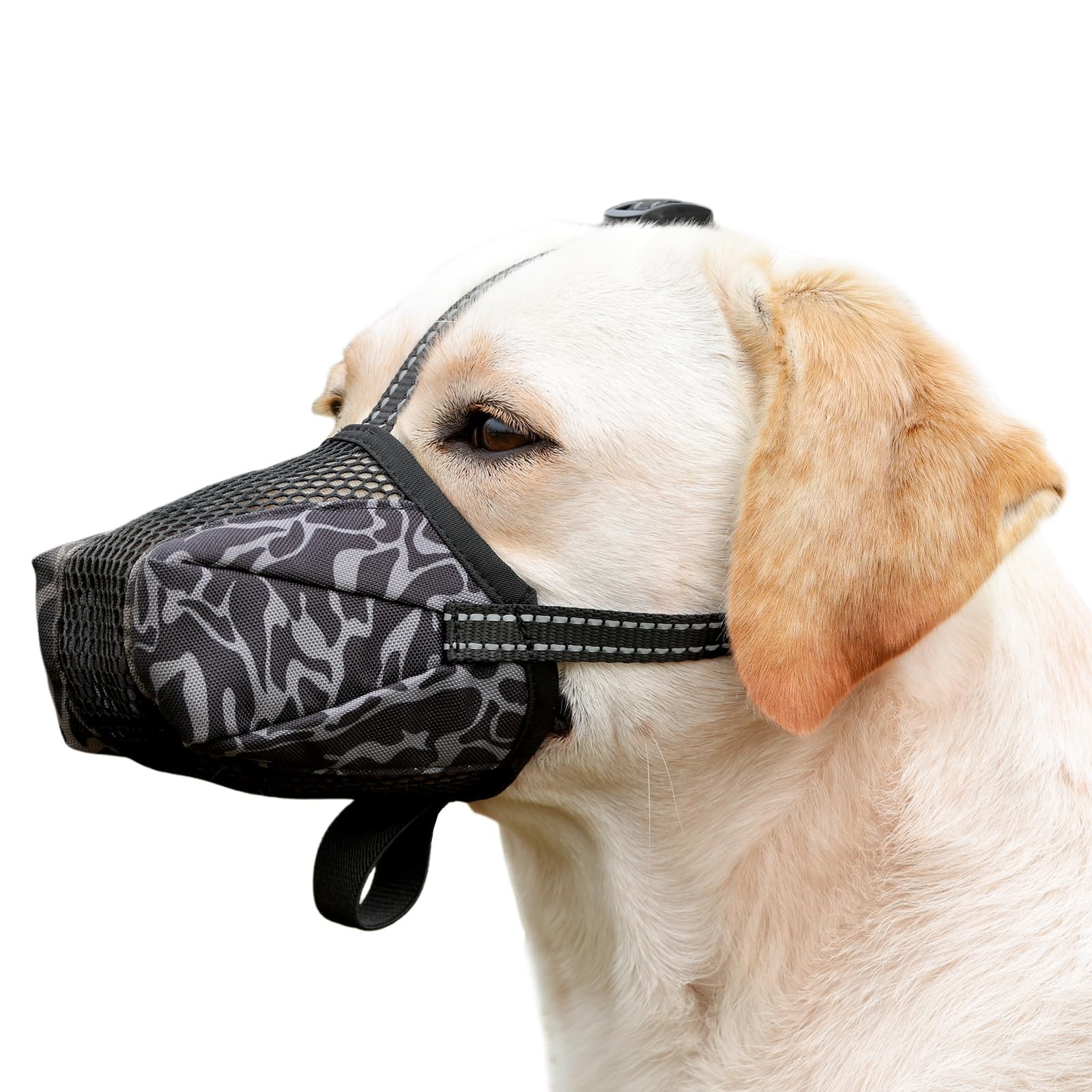 AuraPaw Reflective and Adjustable Mesh Muzzles for Border Collie, Samoyed | A...