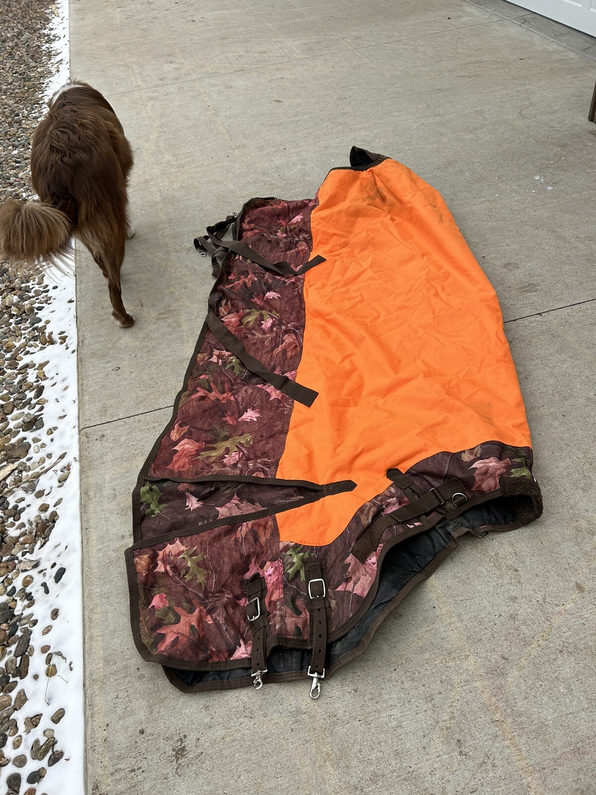 weatherbeeta horse blanket Great Shape Size 81