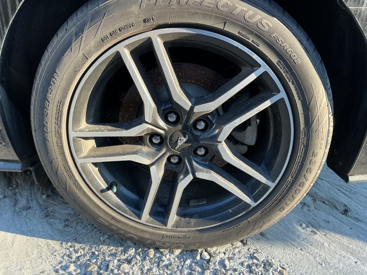 MUSTANG 2019 Glove Box 4926328