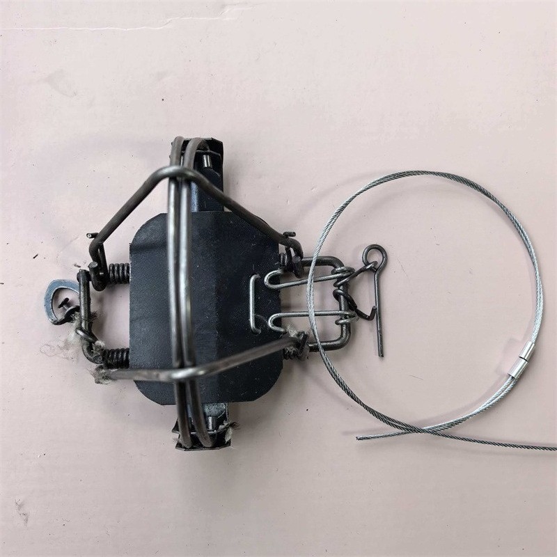 Coil Spring Traps for Raccoon Mouse Muskrat Trapping Nuisance Fox MoleTrapping