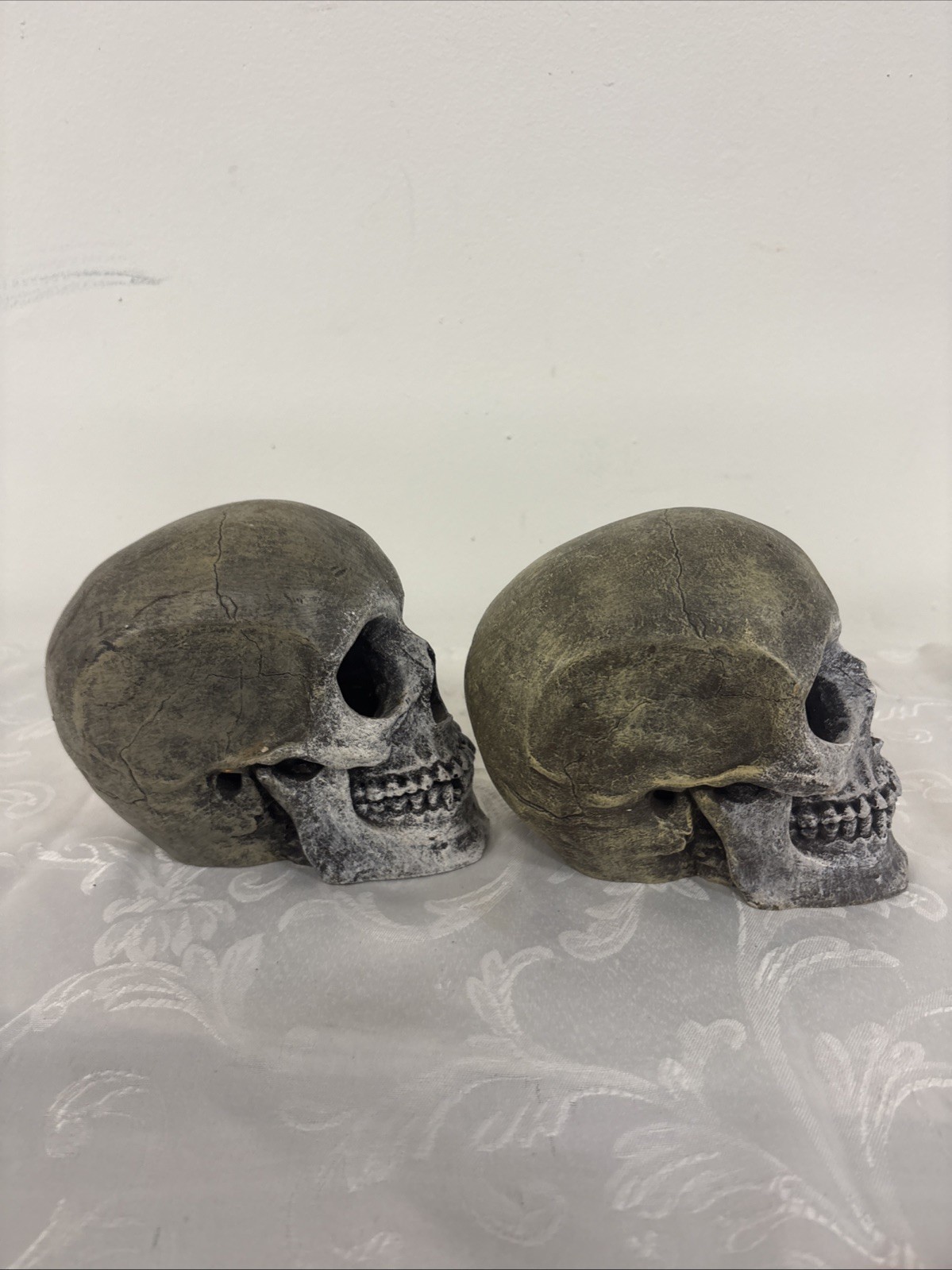Halloween Sitting Human Skull Scary Decor