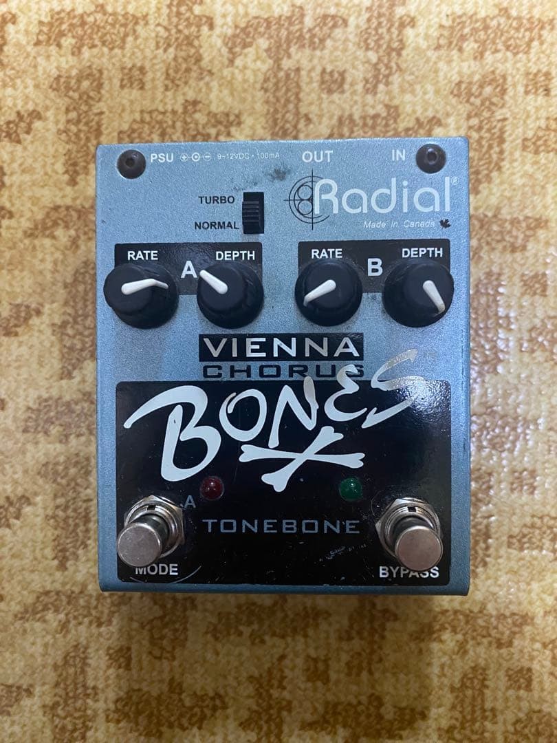 Radial bones Vienna Chorus