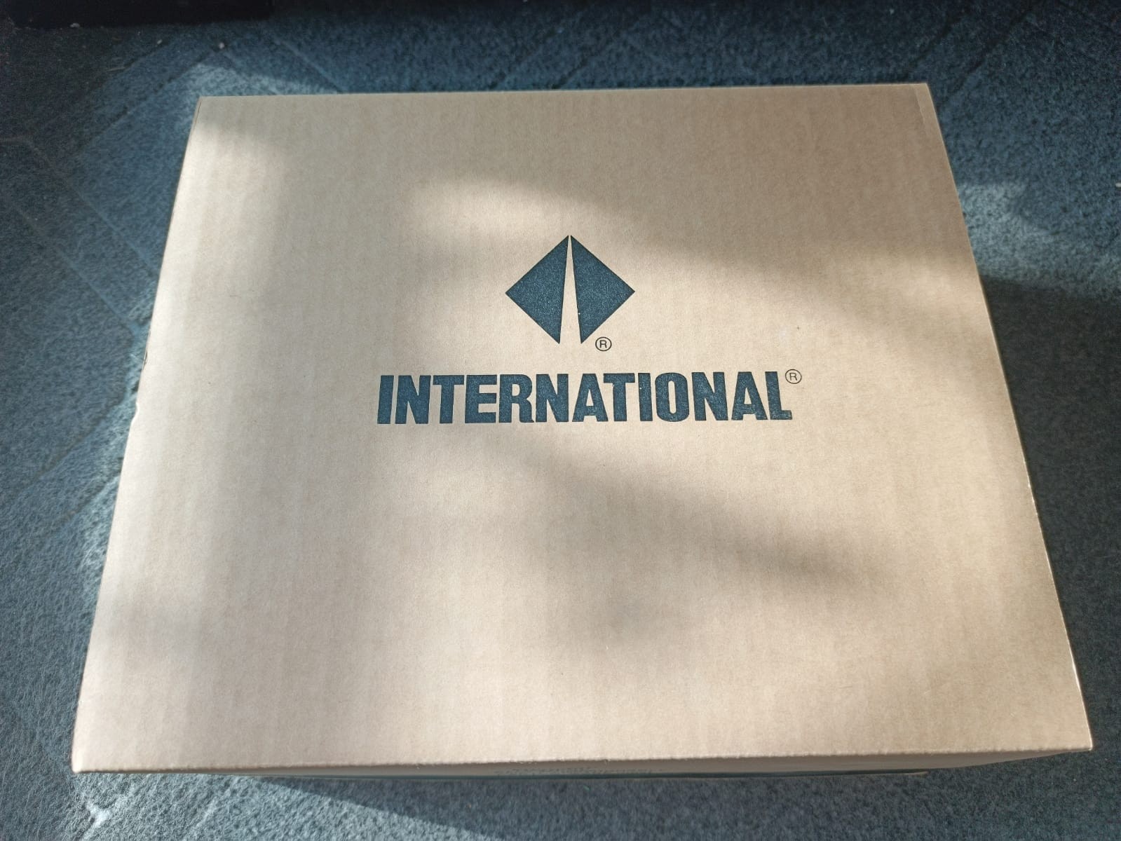 International 3833155C2 Control 018584582