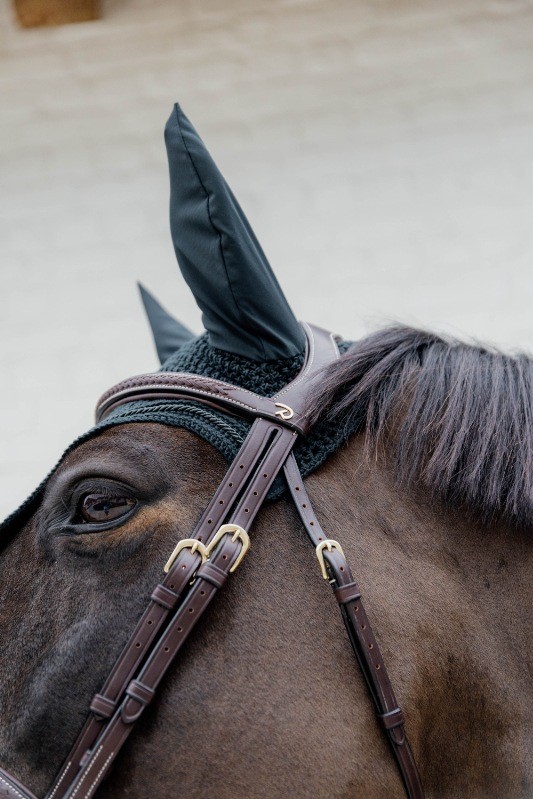 Dion Plaited Combo Bridle