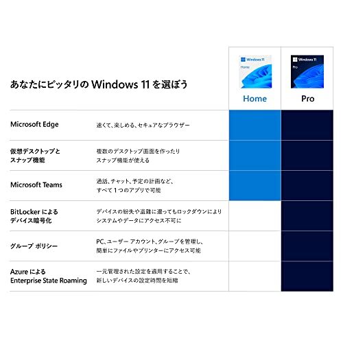 Windows 11 Pro English version Microsoft Professional 64 Bit Operating System