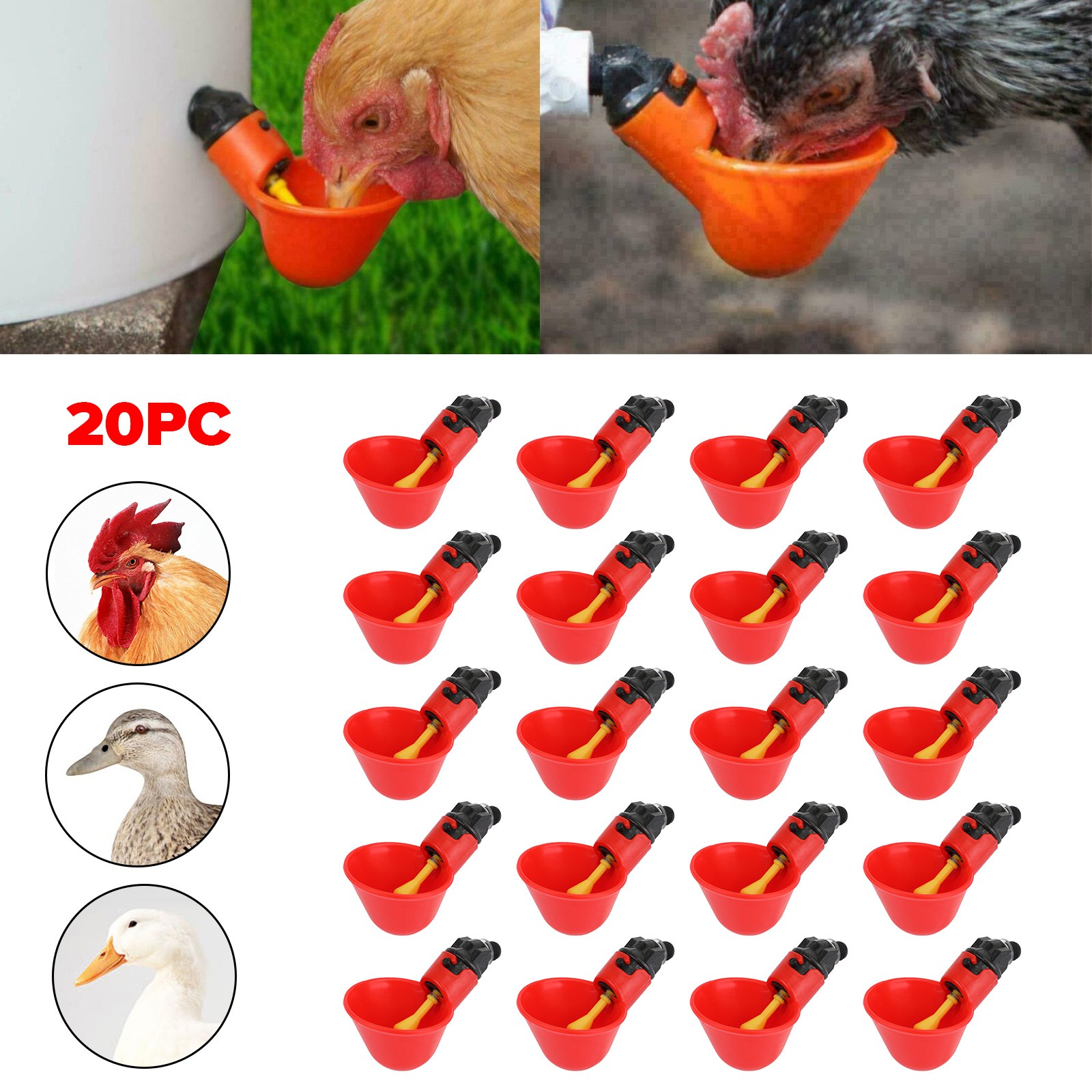 20Pack Poultry Water Drinking Cups Chicken Hen Plastic Automatic Drinker Quail