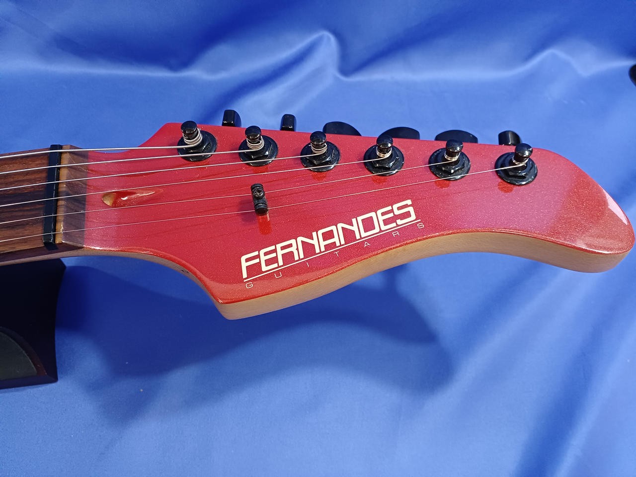 FERNANDES Electric Guitar-02