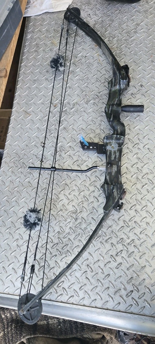 Vintage Bear Whitetail II Compound Bow