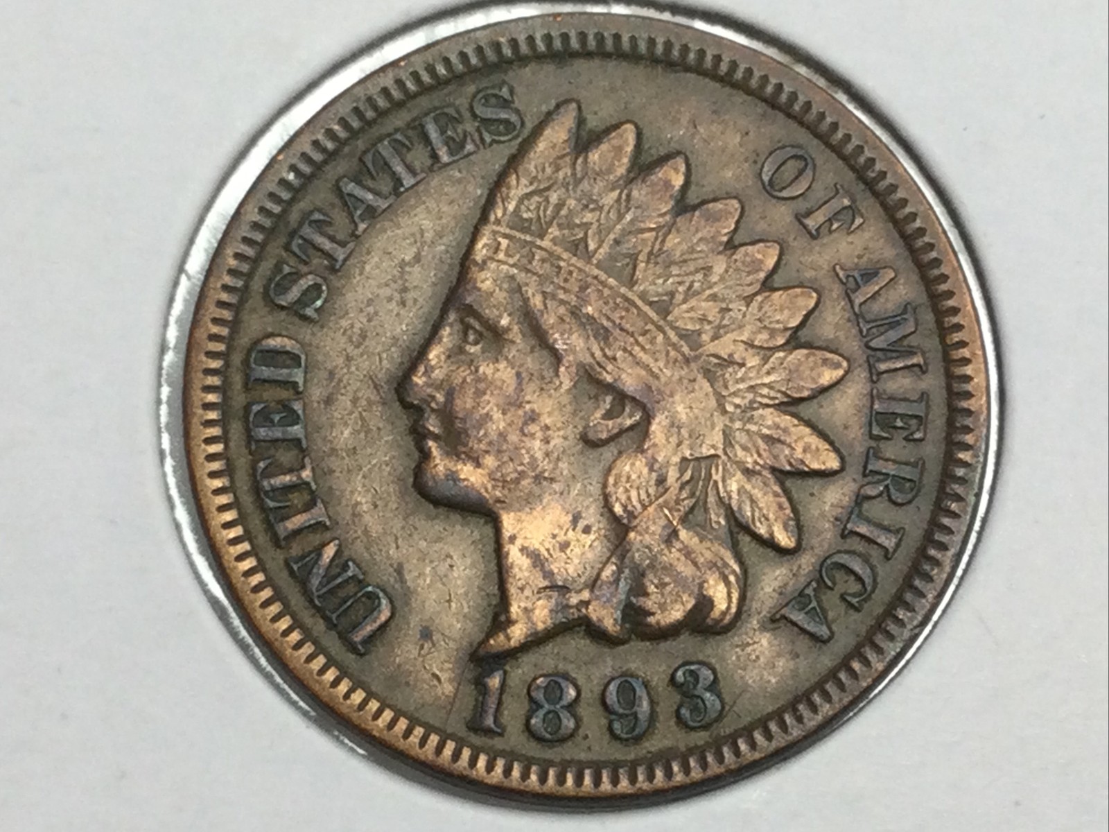 1893 Indian Cent in extra fine