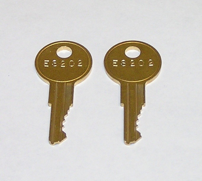 2 - ES202 Replacement Keys fit Cornelius Quest 2000, Quest NT Beverage Dispenser