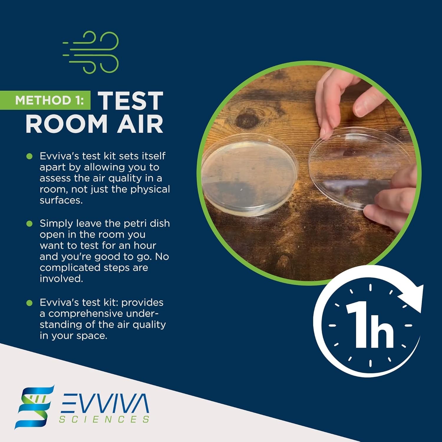 Evviva Sciences Mold Test Kit for Home-10 Simple Detection Tests-Optional Lab
