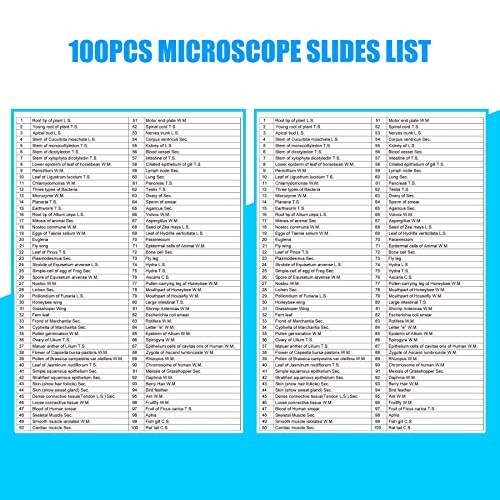 100 Pcs Prepared Microscope Slides Set for Kids, Home School Science Learning