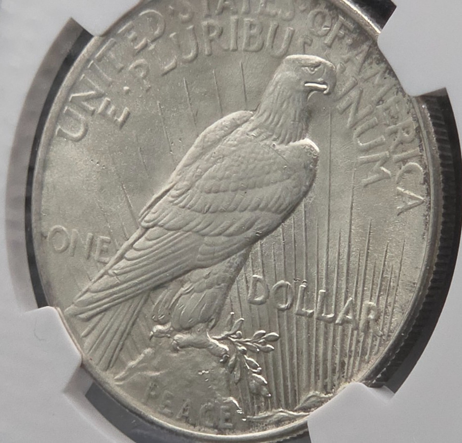1925 Peace Dollar NGC MS64 – Bright White Luster, Clean Fields, Certified
