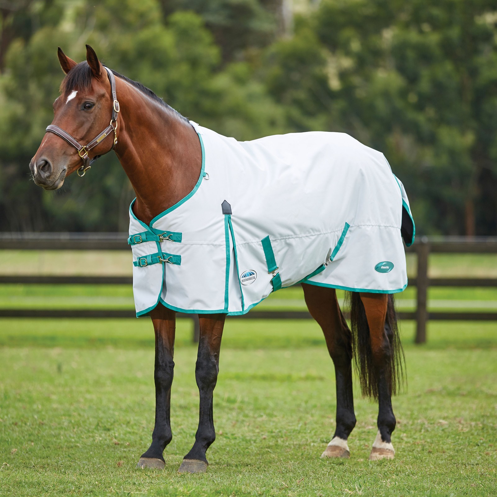 WeatherBeeta Green-Tec 900D Standard Neck Lite Plus