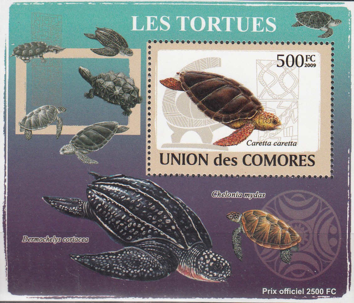 W COMORO Y2009 (54) (5) TURTLES