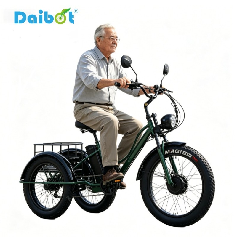 Daibot 750W 48V 24Inch Electric Trike Adult 7Speed Removable Battery Fat Tire