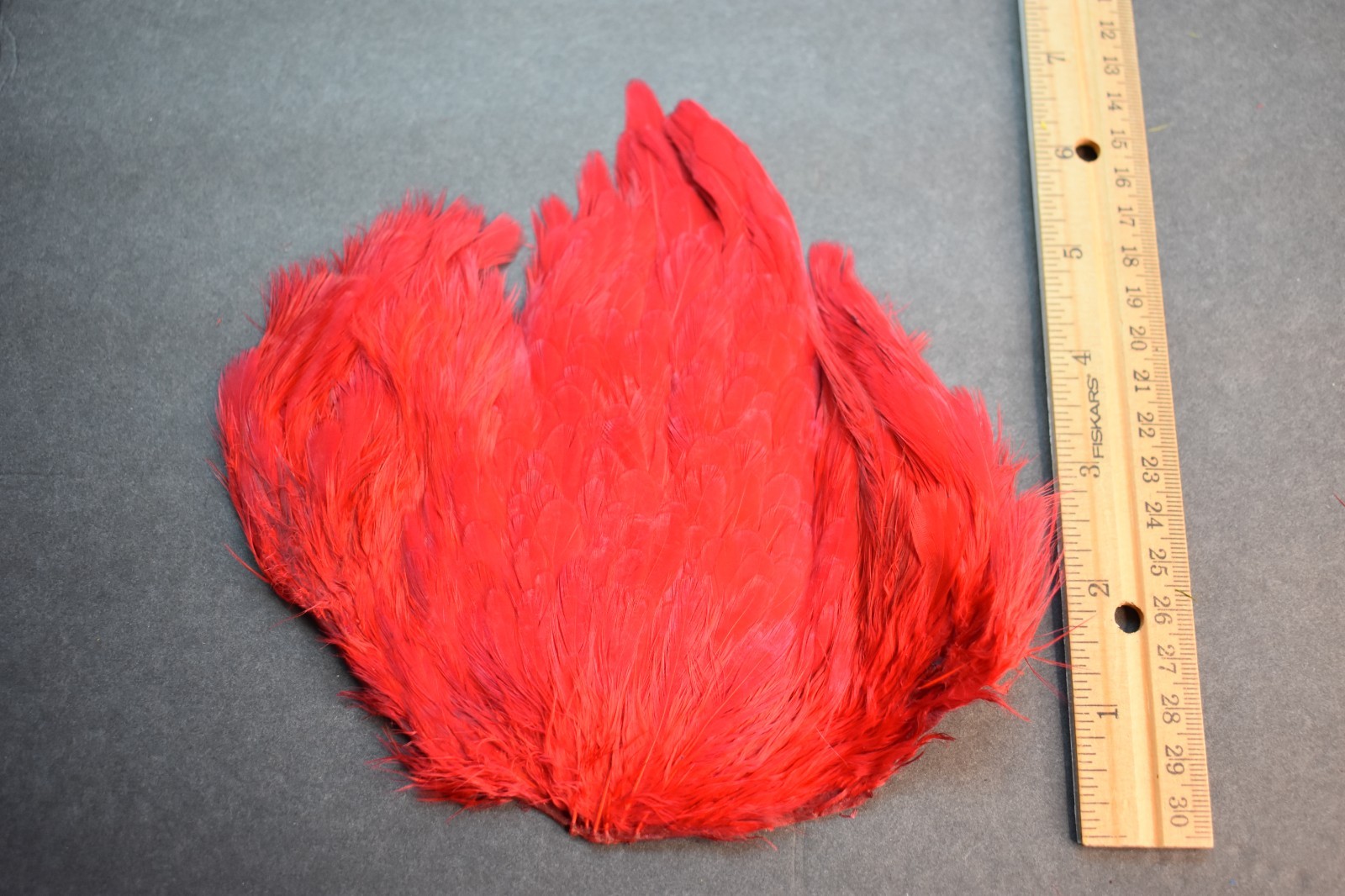 Lot 55,   Dyed Red India Hen Back Saddle Feathers for Fly Tying