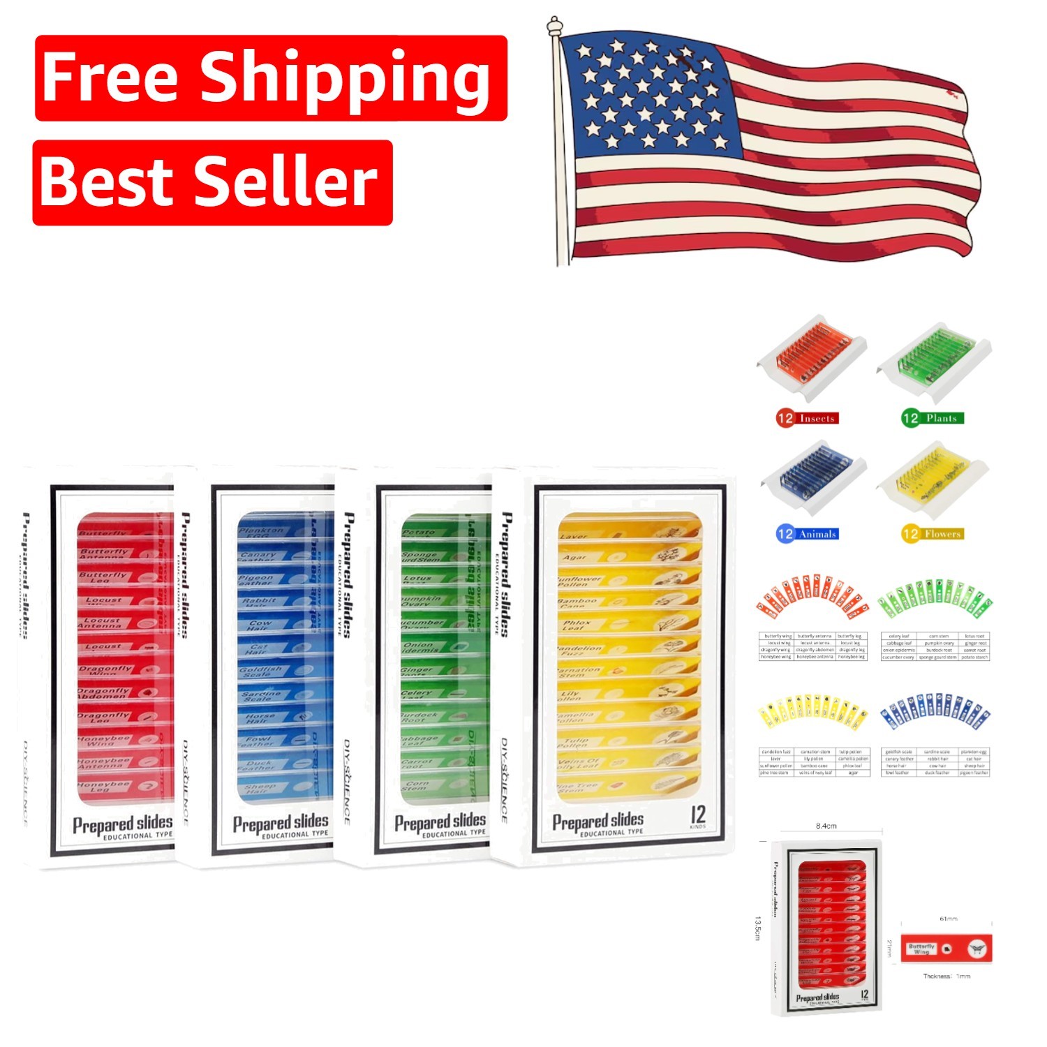 Educational 48 Microscope Slides for Kids - Perfect Science Learning Gift