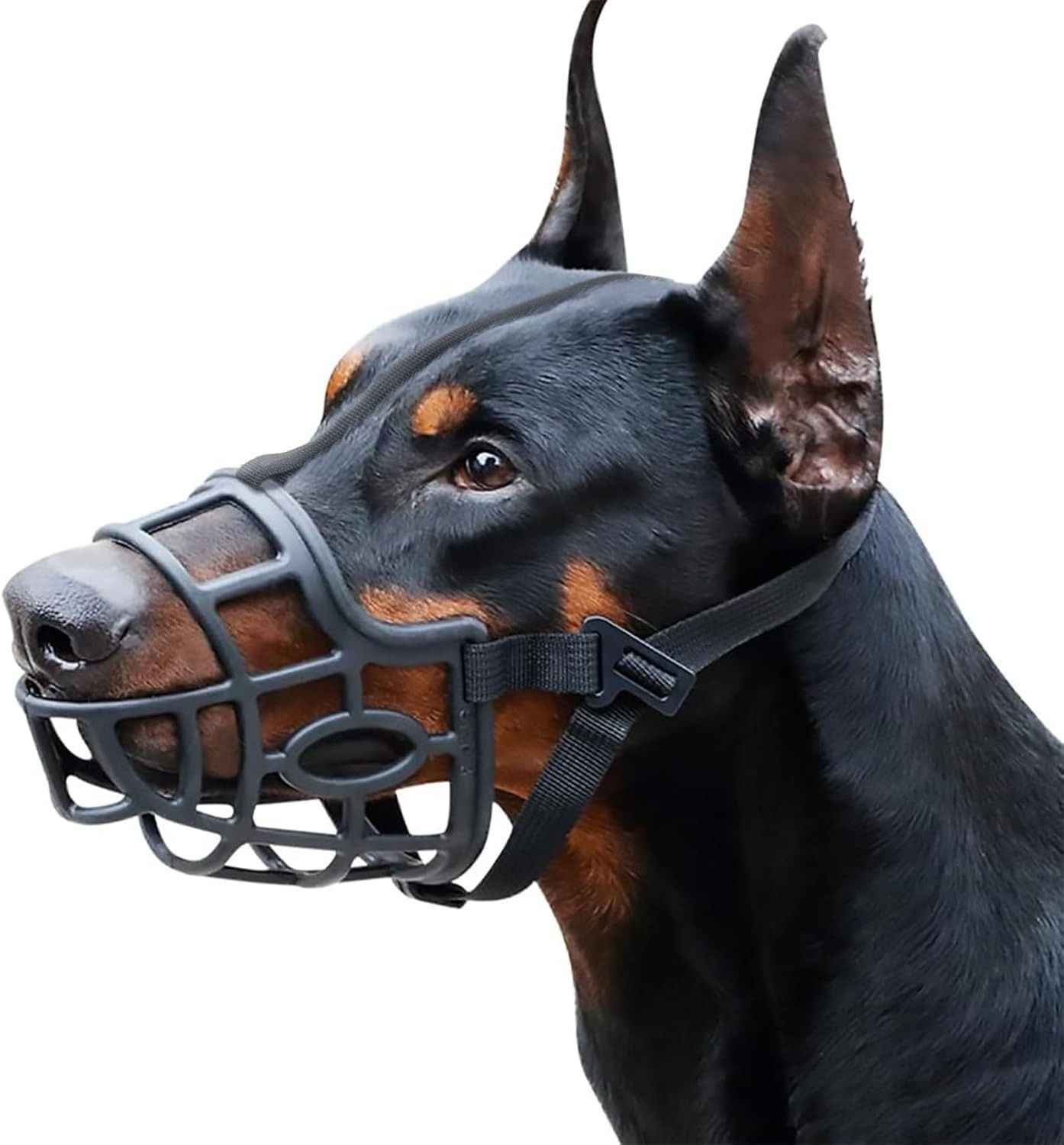 Dog Muzzle Anti Biting Chewing Sturdy Lightweight Cage Mouth Cover, Black,Size 6