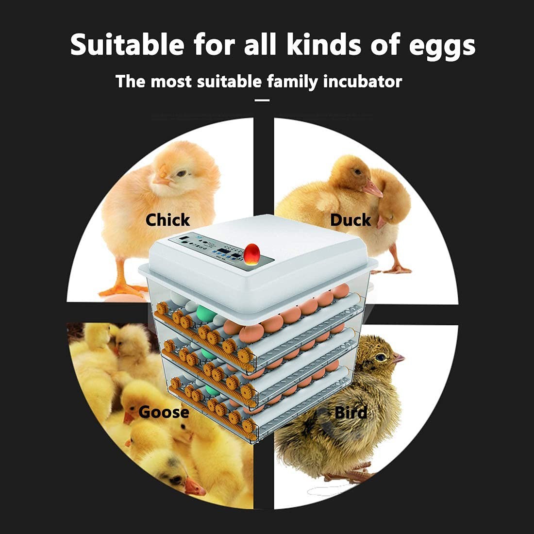 170 Egg Incubator Poultry Hatcher with Fully Automatic Egg Turning and Temper...