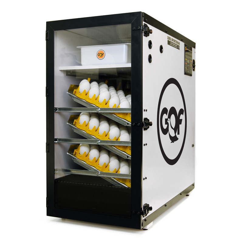 GQF 1502 Digital Sportsman Cabinet Incubator For Hatching Eggs