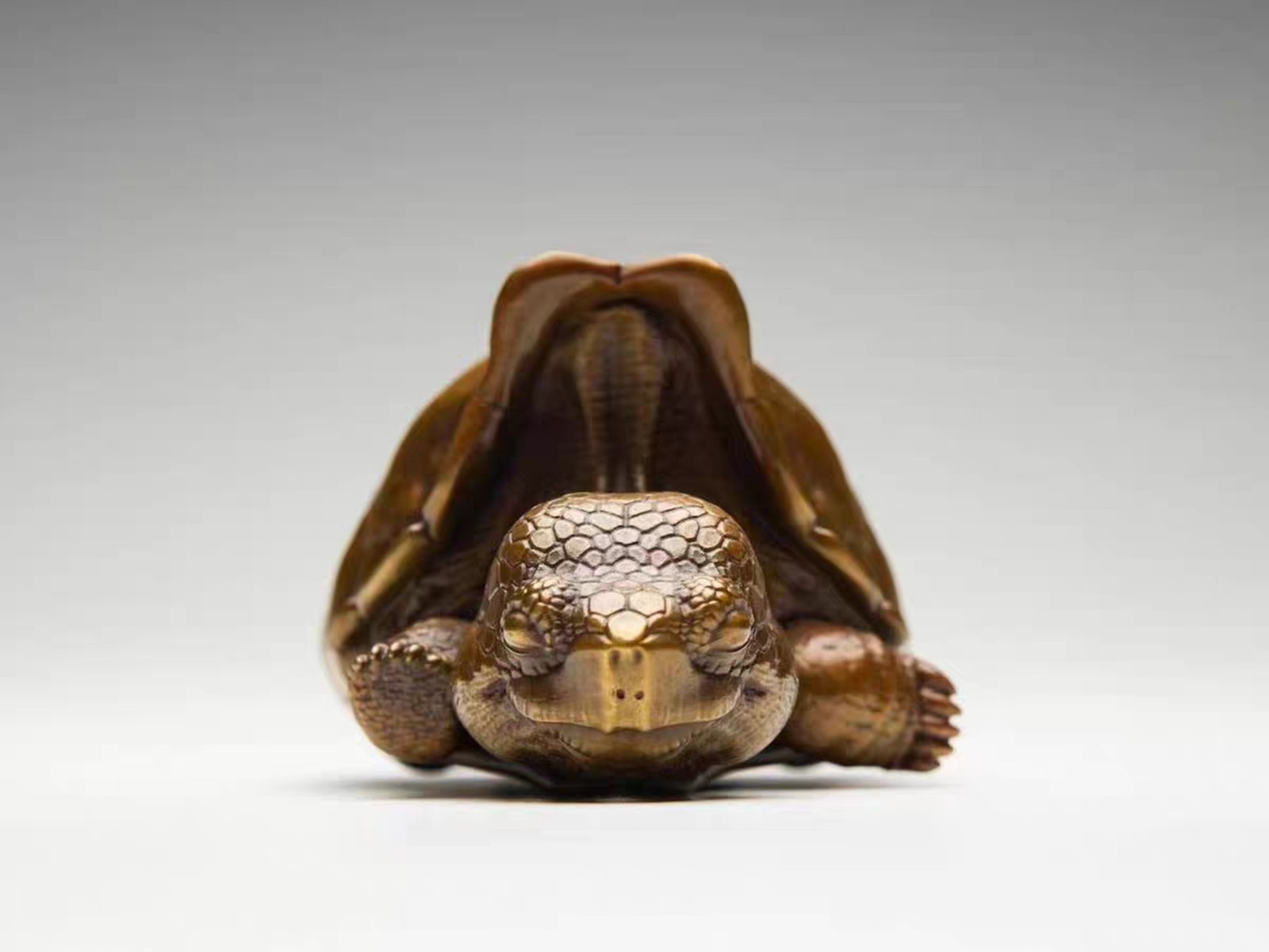 Solid Bronze Copper Galapagos Tortoise Turtle Statue Artwork Decor handcraft