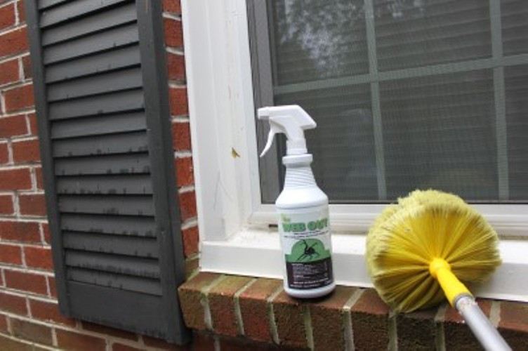 Web Out Spider Spray Spider Eliminator Destroyer 1 QT Web Out Cobweb Eliminator