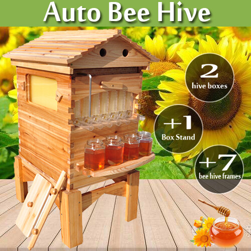Auto Shed Bee Hives Beekeeping Boxes Honey House + 7 x Bee Frames + HAVE STAND