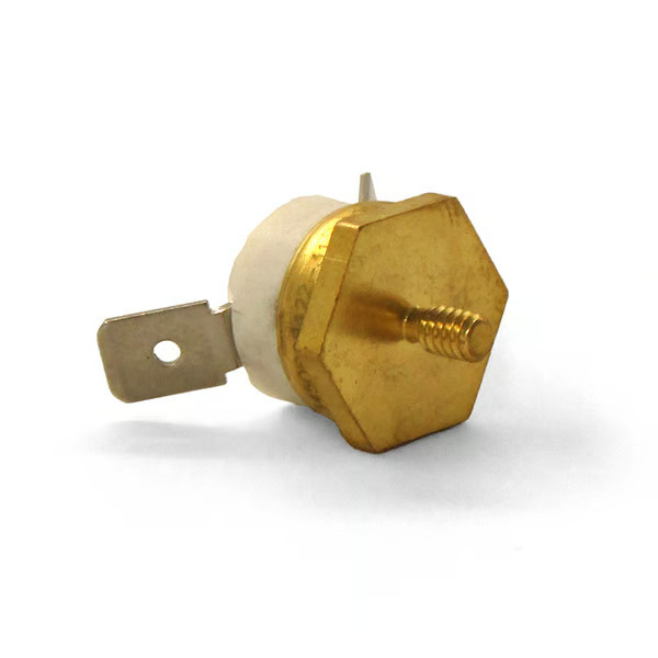 Clean Burn Thermostat: Manual/Auto Reset: 33288 THERMOSTAT