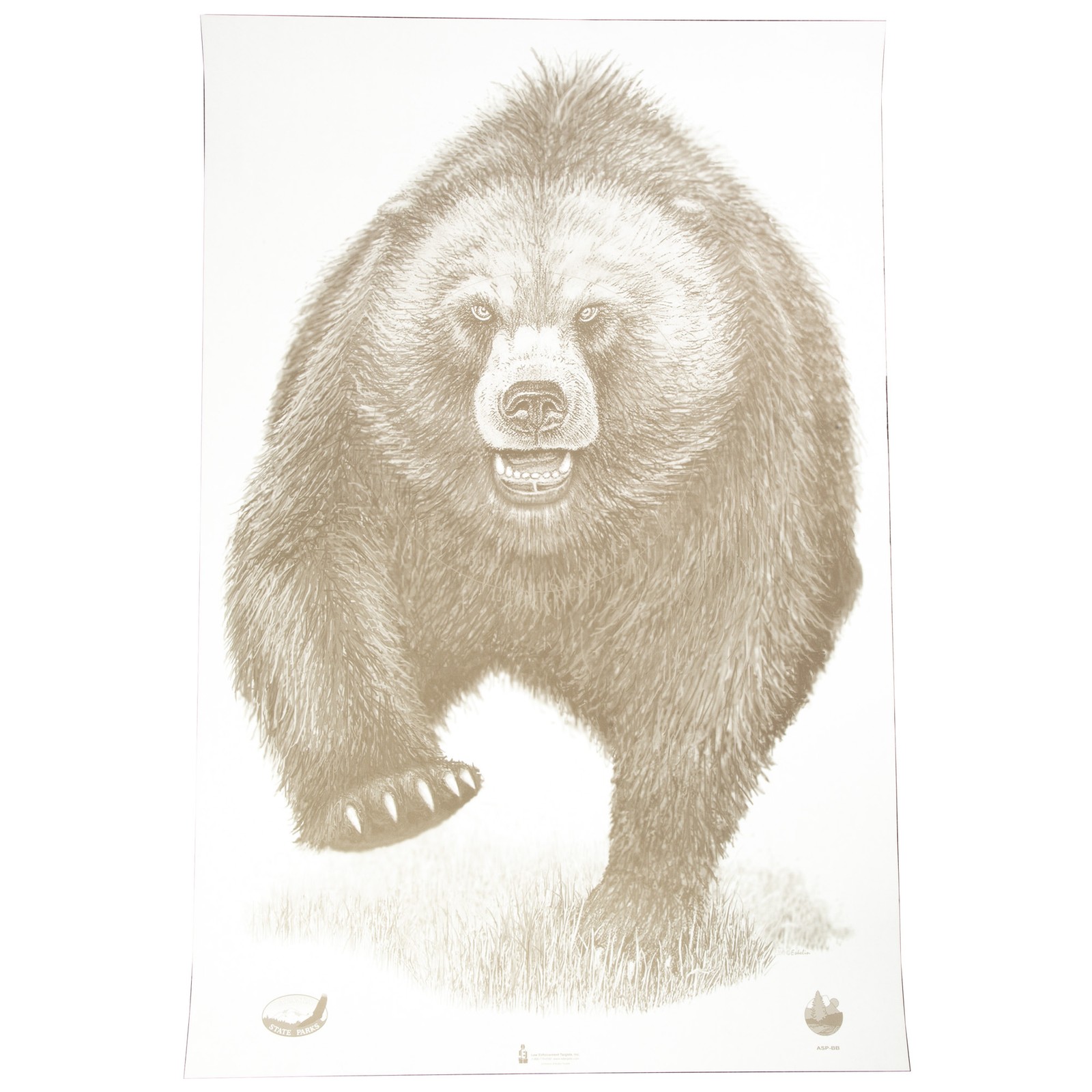 Action Target Alaska State Parks Bear Target 23x35 100 Pack Paper