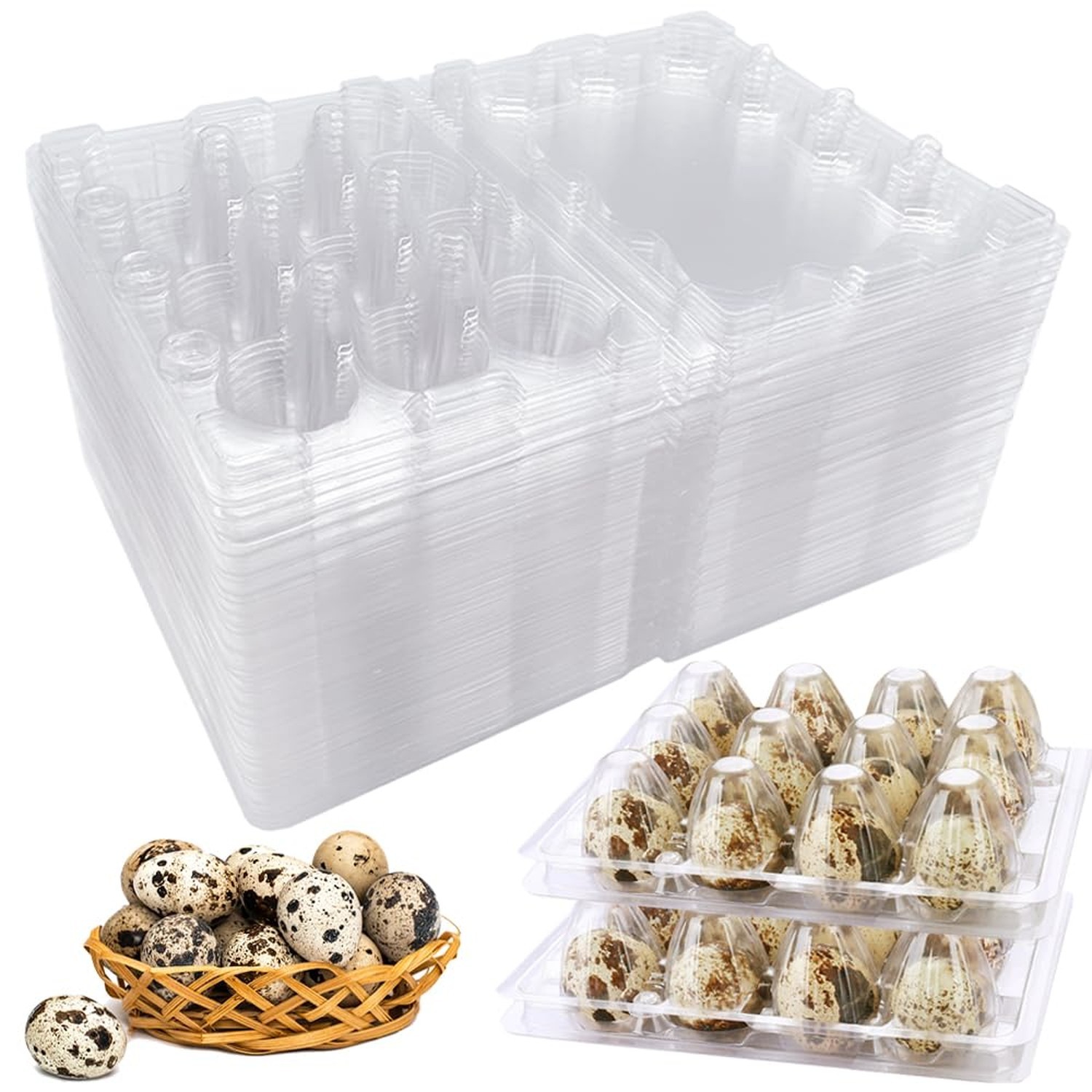 Plastic Quail Egg Cartons,50 Pack of 12 Grids Small Eggs Carton Holders for Q...