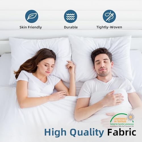 22x22Euro Pillow Inserts Set of 2, Premium Down Feather Pillows for 22x22(2pc)