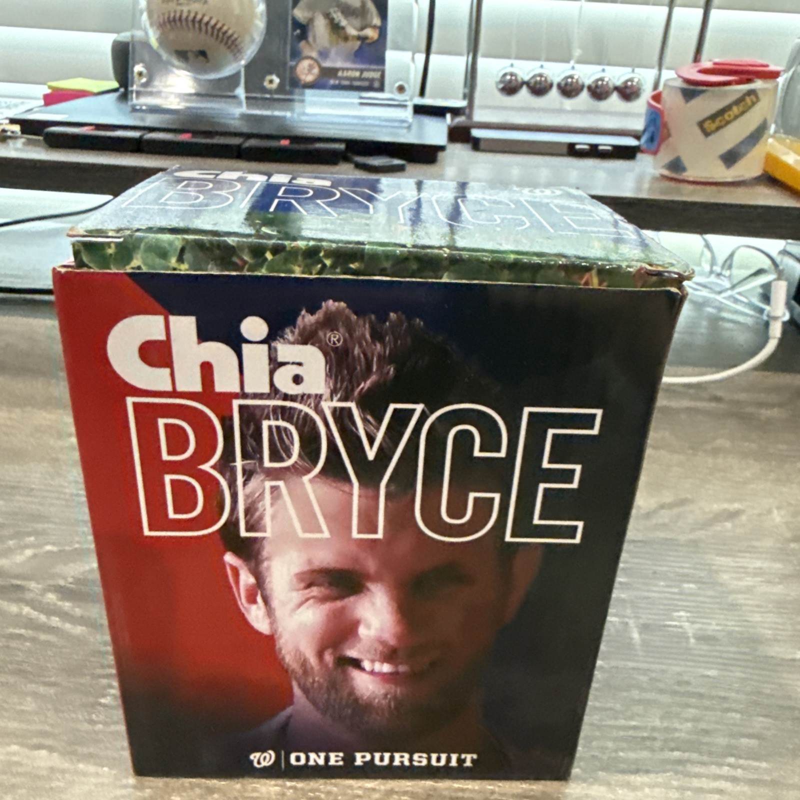 Chia Bryce Harper