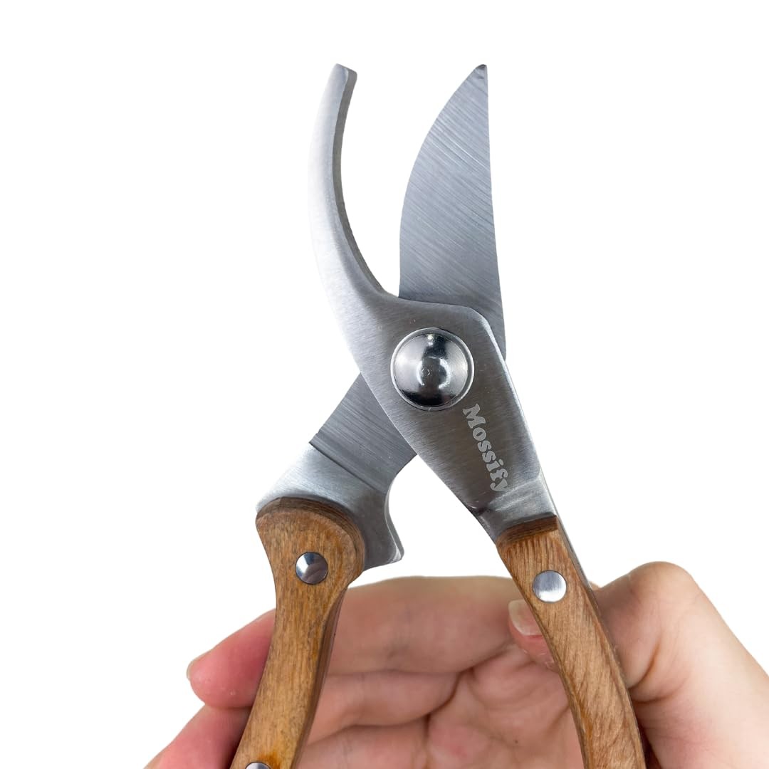 Mossify Garden Shears 8” – Premium Stainless Steel Pruning for Silver