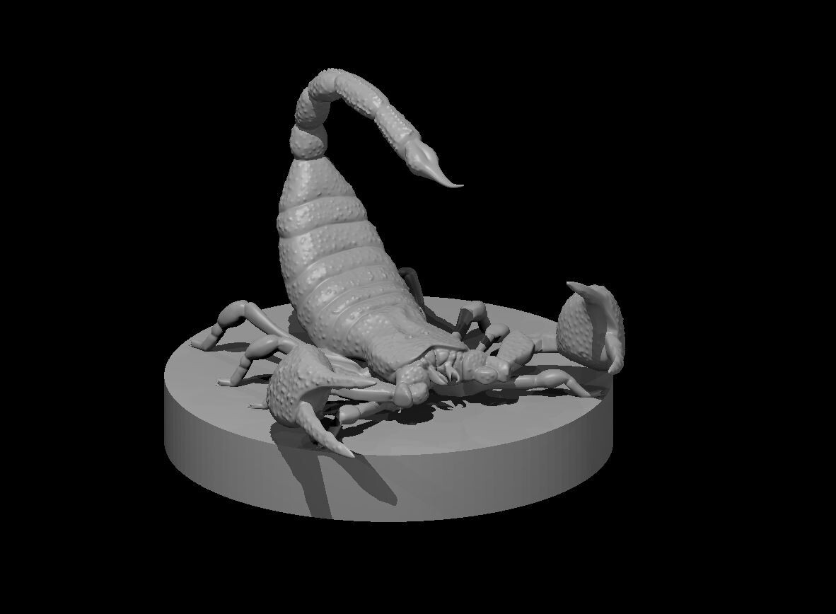 Scorpion Monster Manual 28mm Scale DND D&D Tabletop Mini