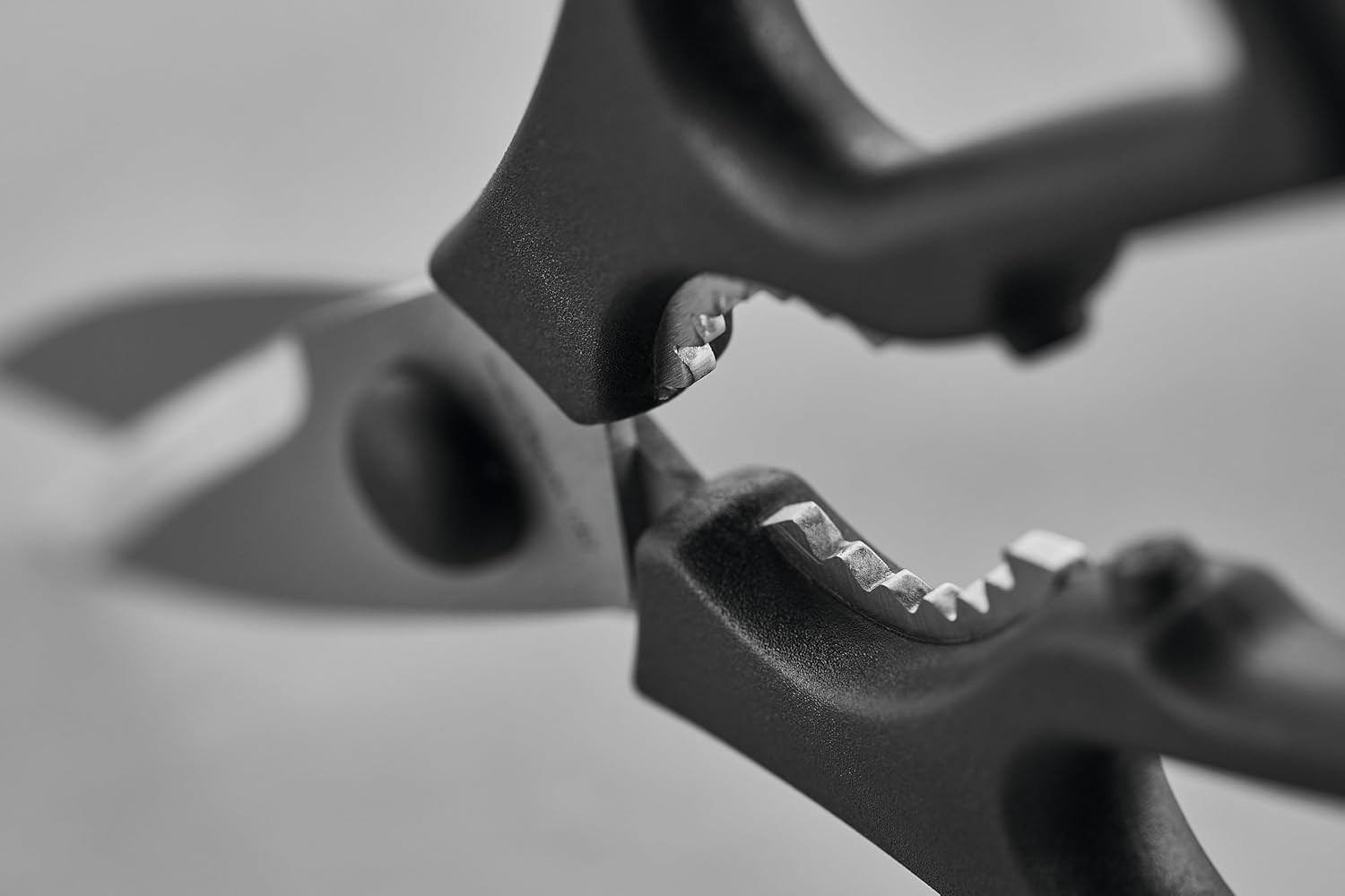 2-Pack Kitchen Shears - Black & White