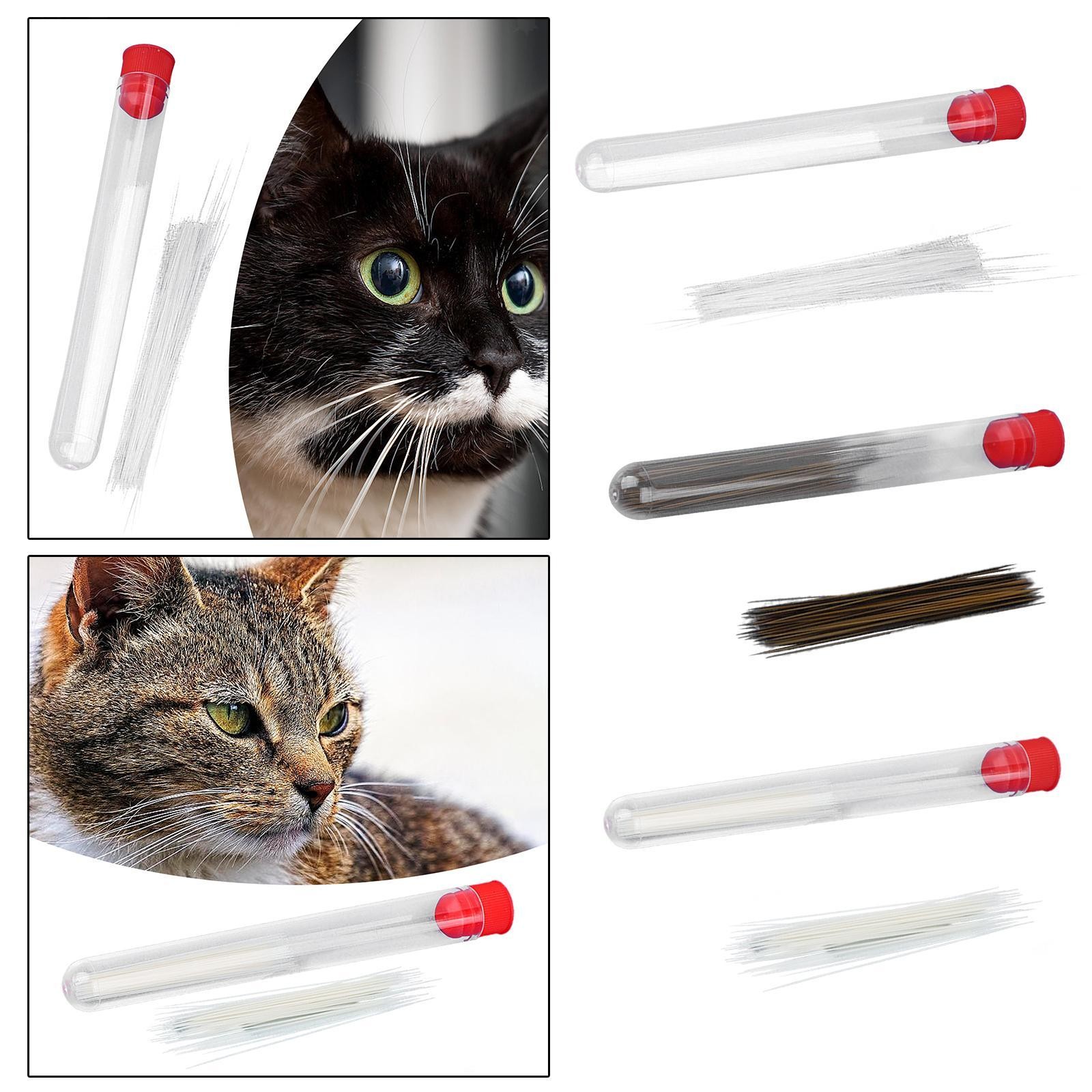Simulation Cat Beard Animal Beard Toys Crafting Kits Doll Beginners Home