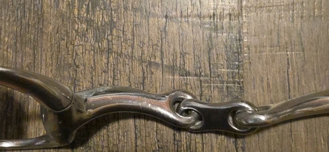 Horse Bit 6"