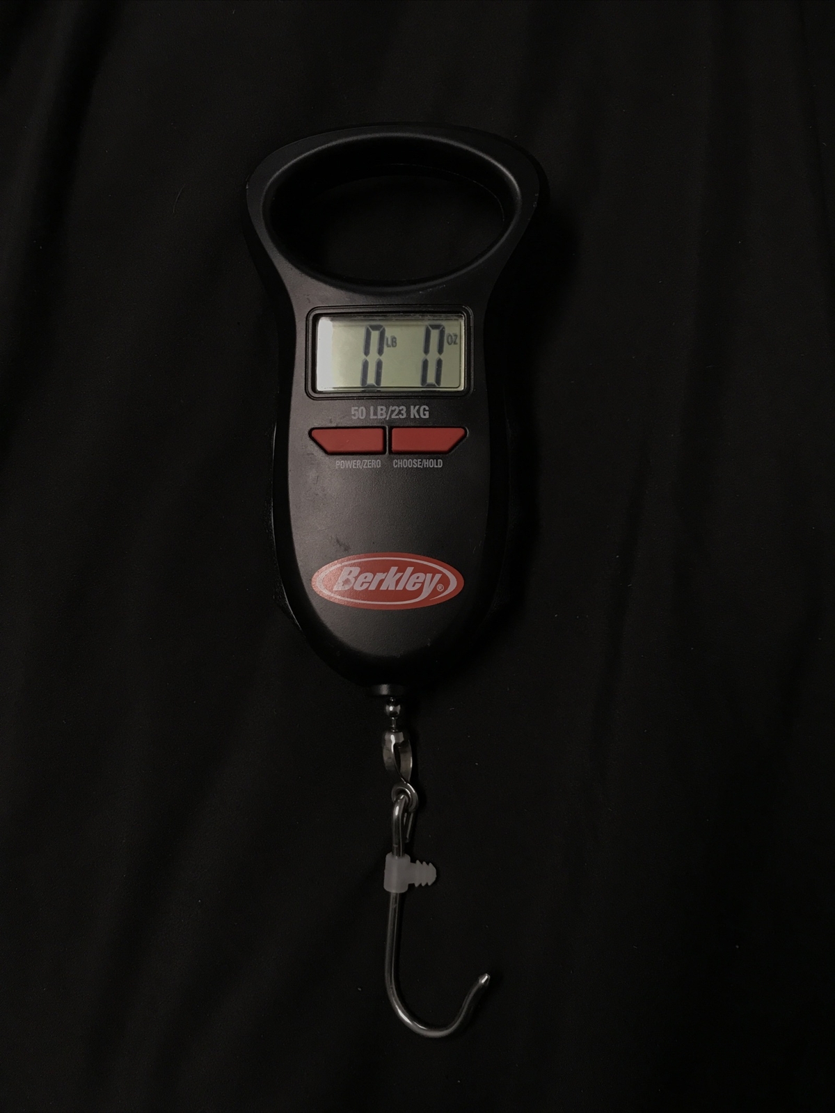 berkley scale
