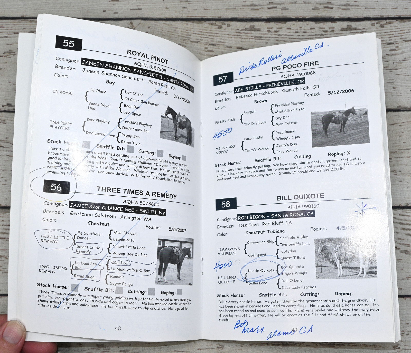 49th Annual Red Bluff Gelding Sale 2011 Horse Auction Catalog California