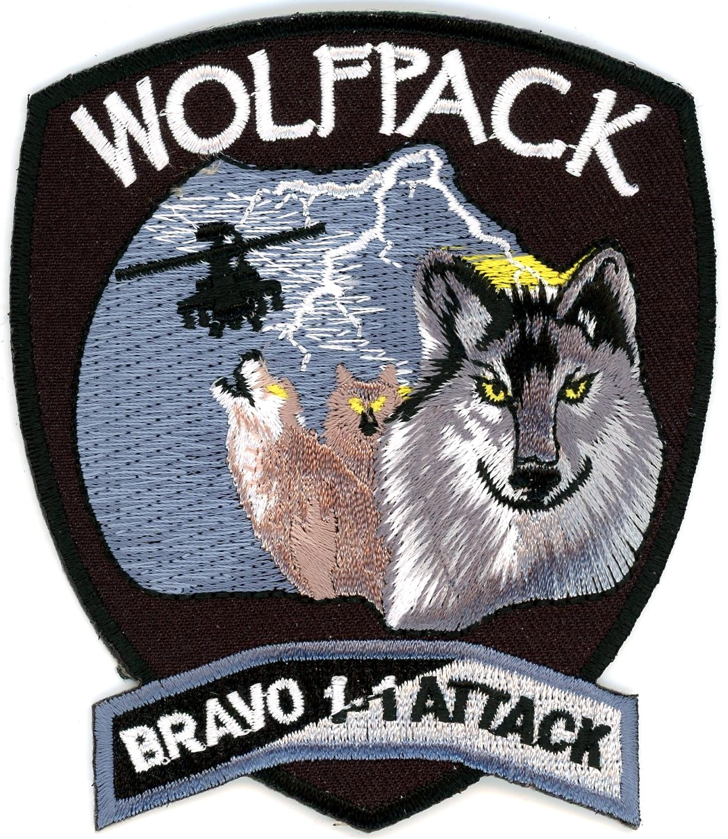 US Army Aviation Patch: B Company 1st Battalion 1st Aviation Wolfpack
