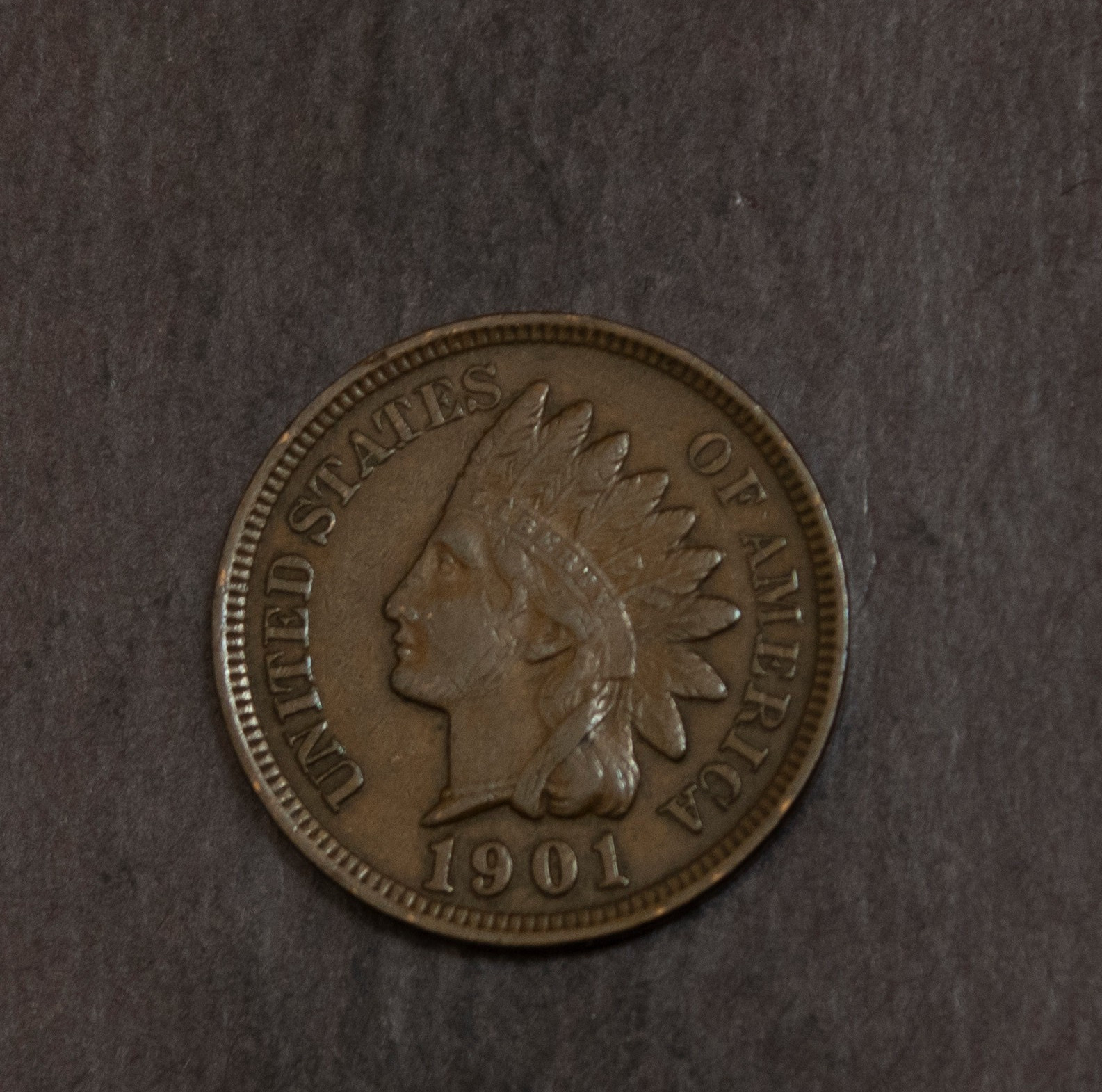 1901 Indian Cent   Choice XF    Lot F 1011