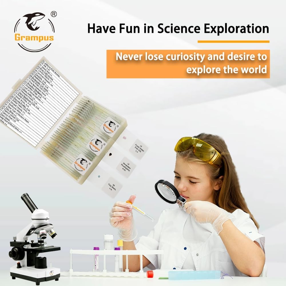 30 Prepared Microscope Slides Set - Specimens for Kids, Students, Science Lab, B