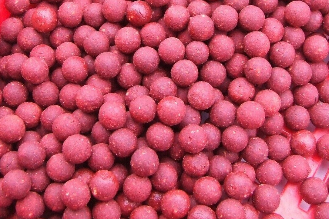 shelflife boilies carp,barbel,tench,bream,chub. 900g 15MM session pack