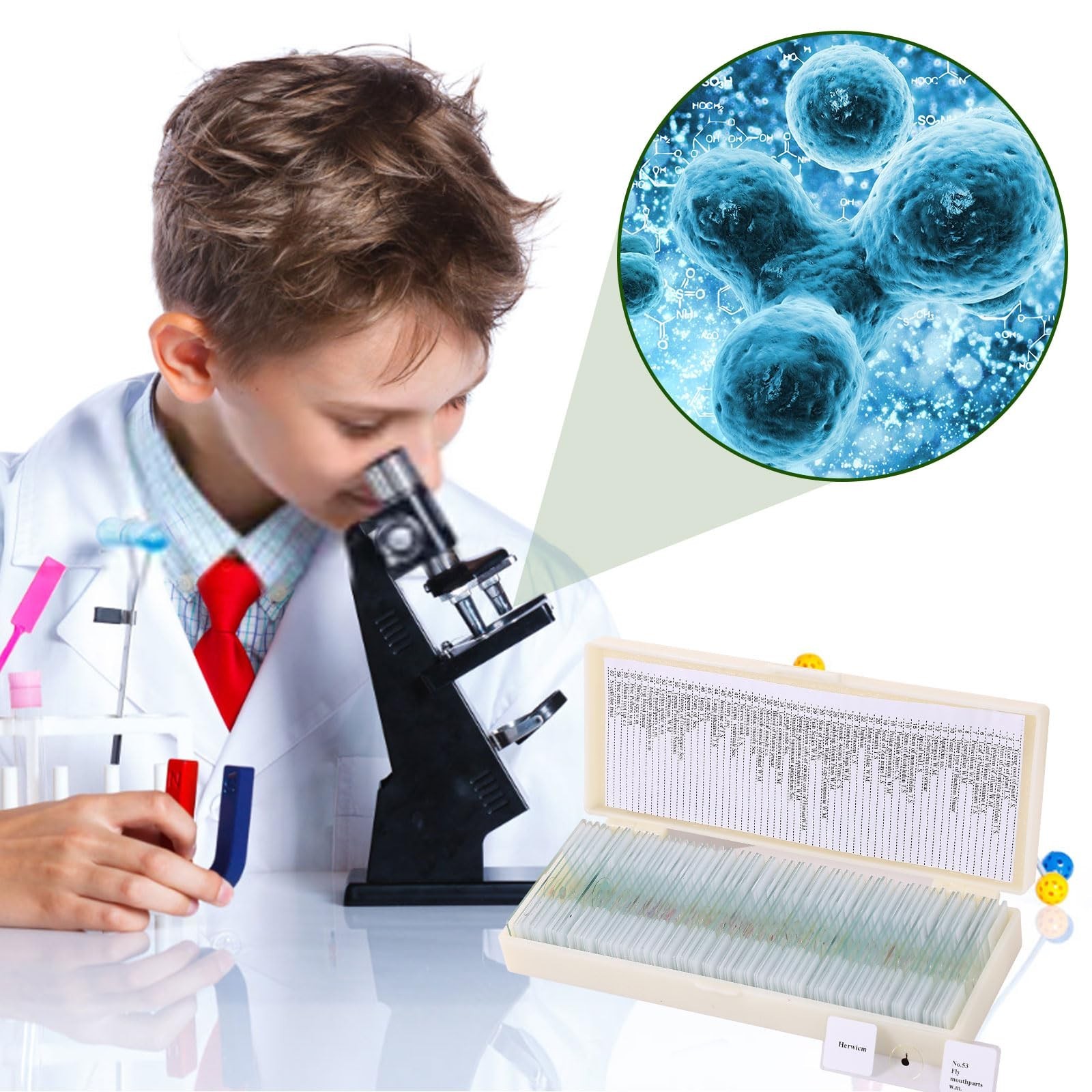 60 Pieces Prepared Microscope Slide Set with Specimens, Plant Animal Cell Sci...