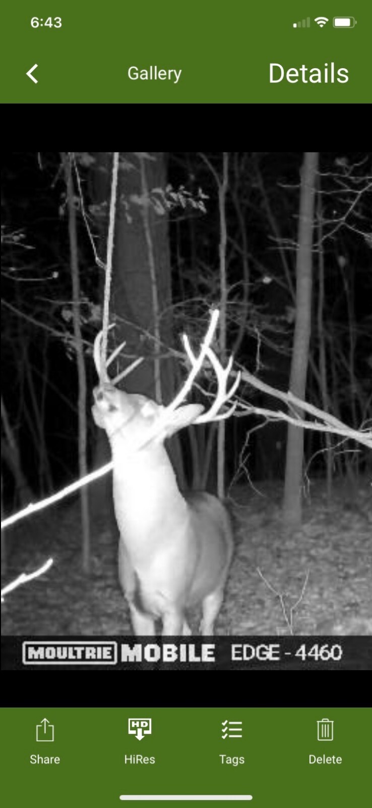 deer attractant Rope Kit! Free Shipping!